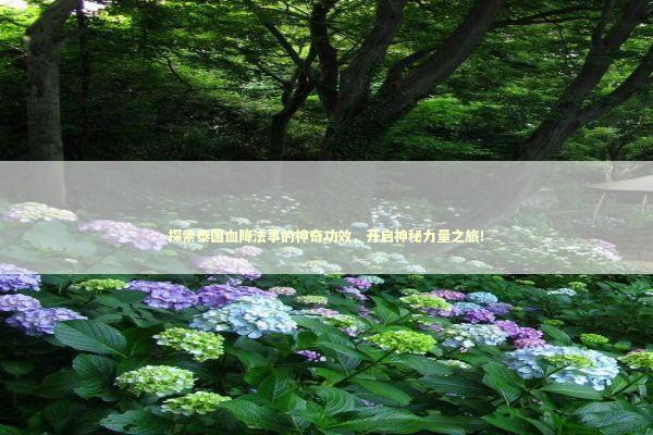 探索泰国血降法事的神奇功效，开启神秘力量之旅！