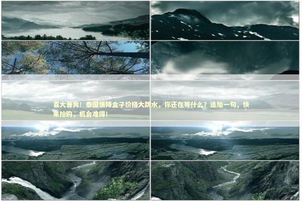 喜大普奔！泰国情降盒子价格大跳水，你还在等什么？追加一句，快来抢购，机会难得！