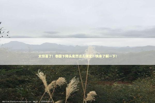太惊喜了！泰国下降头竟然这么便宜？快来了解一下！