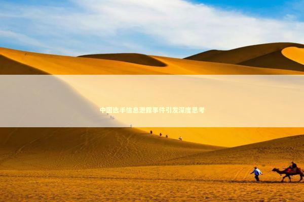 中国选手信息泄露事件引发深度思考