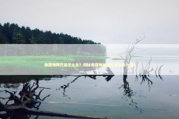 泰国情降咒语怎么念？揭秘泰国神秘文化背后的力量！