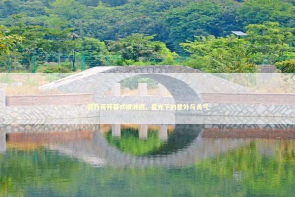 贾乃亮开幕式被淋透，星光下的意外与勇气