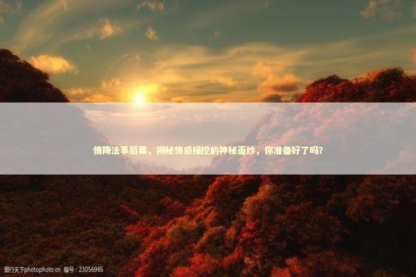 情降法事后果，揭秘情感操控的神秘面纱，你准备好了吗？