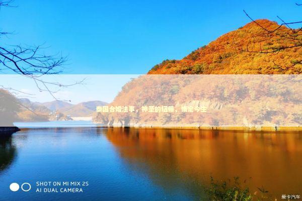 泰国合婚法事，神圣的纽带，情定今生