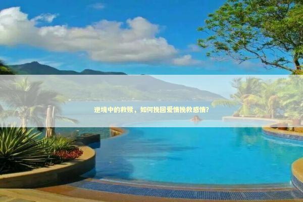 逆境中的救赎，如何挽回爱情挽救感情？