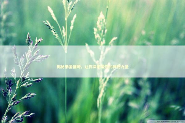 揭秘泰国情降，让你深陷爱恋的神秘力量