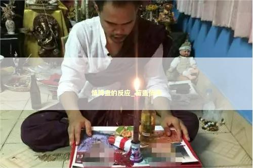 情降蛊的反应_苗蛊情降