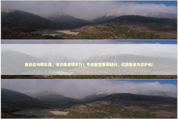 售前咨询哪家强，清洗服务哪家行？专业解答售前疑问，优质服务为您护航！