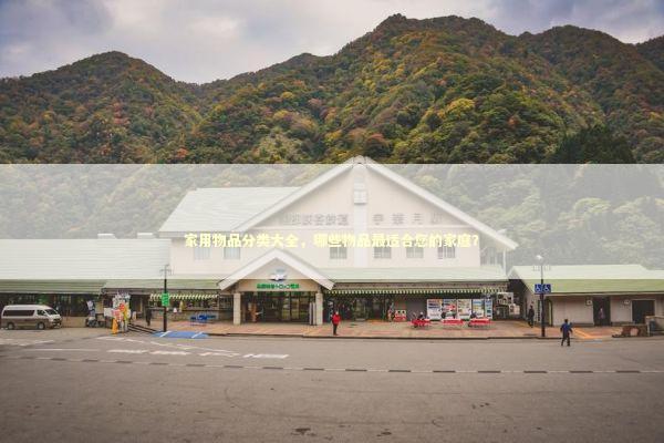 家用物品分类大全，哪些物品最适合您的家庭？
