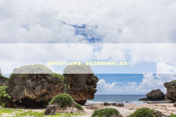 如何找到内心的声音，谁真正理解你的内心需求？