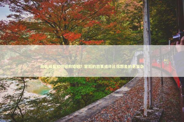 出轨修复如何拯救婚姻？背后的故事或许比你想象的更复杂
