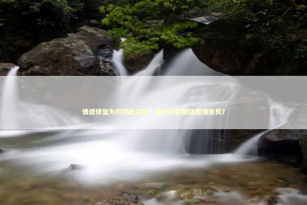 情感修复为何如此关键？谁来助你解决感情危机？