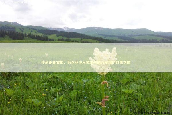 传承企业文化，为企业注入灵魂与助力发展的双赢之道