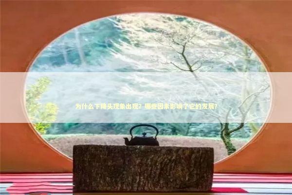 为什么下降头现象出现？哪些因素影响了它的发展？
