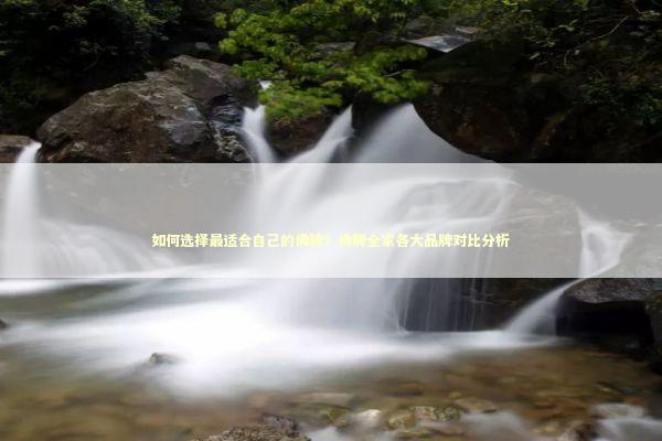 如何选择最适合自己的佛牌？佛牌全家各大品牌对比分析