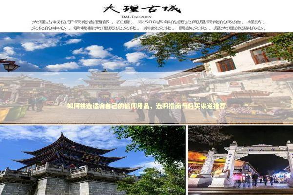 如何挑选适合自己的信仰用品，选购指南与购买渠道推荐