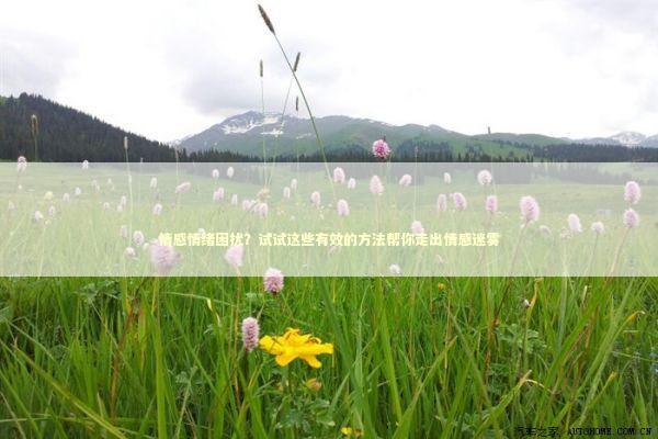 情感情绪困扰？试试这些有效的方法帮你走出情感迷雾