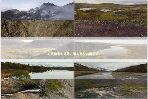 心灵指引何处寻？谁与共赴心灵之旅？