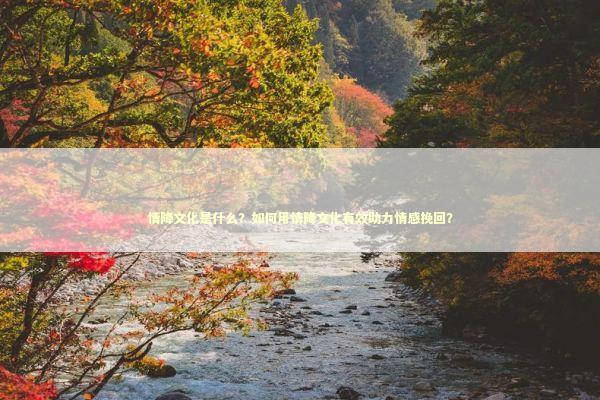 情降文化是什么？如何用情降文化有效助力情感挽回？