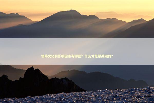 情降文化的影响因素有哪些？什么才是最关键的？